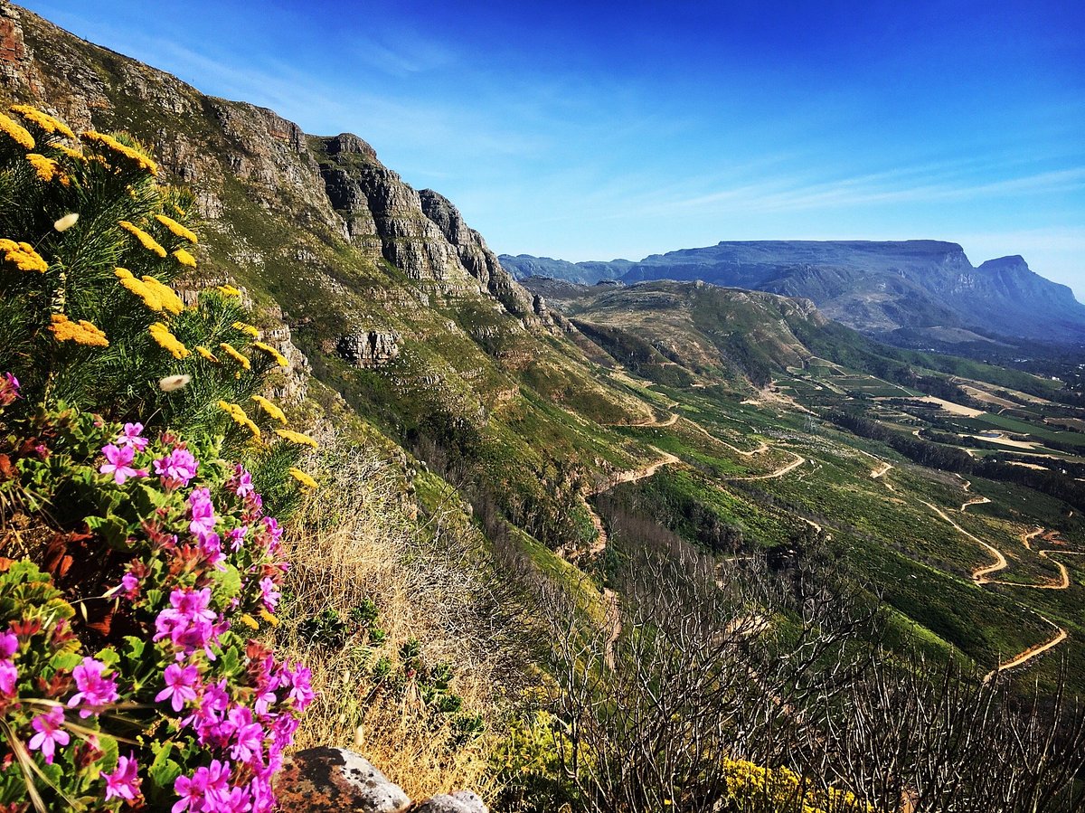Klipriviersberg Nature Reserve Hiking Trails Joey Journeys