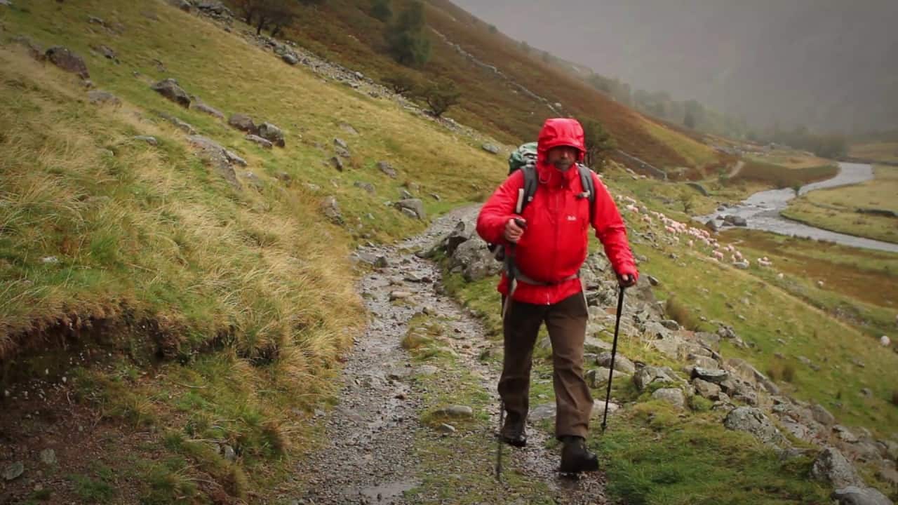 Hiking Stick 101 A Comprehensive Tutorial on How to Use Hiking Sticks